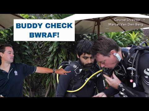 Buddy Check Scuba Diving • PADI Open Water Diver Course - Scuba Diving Tips