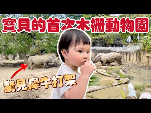 【動物園VLOG #1 】筑筑的首次動物園竟遇見犀牛打架｜木柵動物園｜ 1Y4M