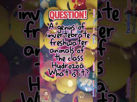 QUESTIONS #teacherzel #generalquestion #generalknowledge #questionandanswer #fyp #trend #viralvideo