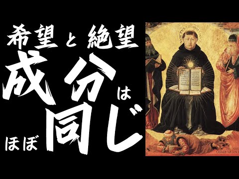 欲望とは「愛」と「喜び」をつなぐ架け橋で、絶望と希望の成分はほぼ一緒！ロジカルでポジティブな哲学の真骨頂、ここに現る！【トマス・アクィナス5】#55