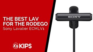 The Best Lav for the RodeGo | Sony Lavalier ECMLV1