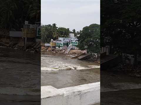 கொள்ளிடம் ஆற்றில்...#shortsfeed #kollidam #kollidamriver #river #trichy