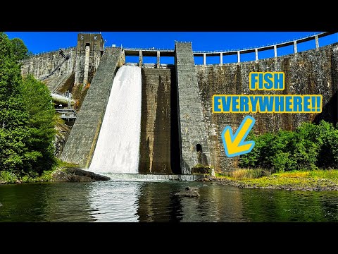 Roostertail Catches EVERYTHING... Under 100-Year-old Dam