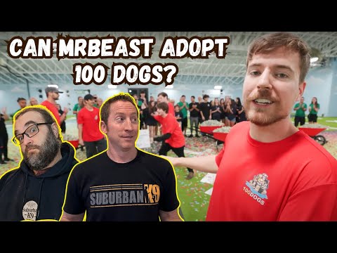 MrBeast Adopts Out 100 Dogs--DOG TRAINERS React!