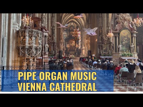 🇦🇹🎹Immerse in the sound of Pipe Organ Playing at St Stephen Cathedral Vienna Austria May 2023 4K