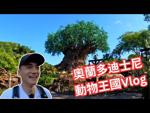 奧蘭多迪士尼動物王國Vlog