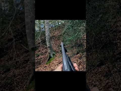 Deer Hunting With Dogs!! #killaoutdoors #fy #fyp #deer #killshot #virginia #hunting #viralvideo