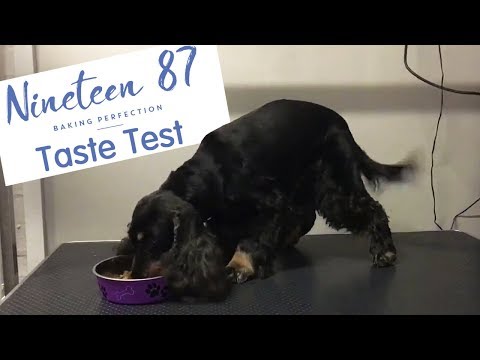 Taste Test of Nineteen 87 Dog Food!