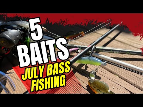 July Bass Fishing Baits: So Anyone Can Catch A Bass