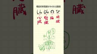 【機能的終動脈がみられる臓器の語呂合わせ～20秒で国試対策～】柔道整復師・鍼灸師・あん摩マッサージ指圧師