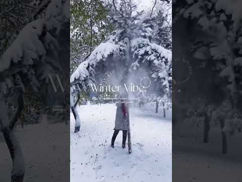 How to play with snow? 🌨东北的第一场雪