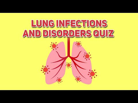 Lung Infections And Disorders | Respiratory Anatomy & Physiology Quiz