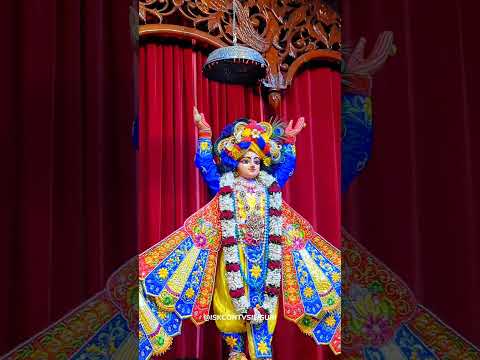 Today's Darshan of Sri Sri Radha Madhav Sundar and Panchatattva 🪷 December 22, 2024