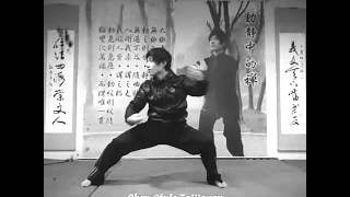 Chen style taijiquan-xin jia by Lu Chien-Ming【陳氏太極拳-新架(呂建銘 演示)】