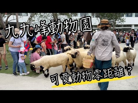 草屯九九峰動物樂園｜帶孩子體驗與動物零距離的親密接觸！適合全家出遊的好去處～