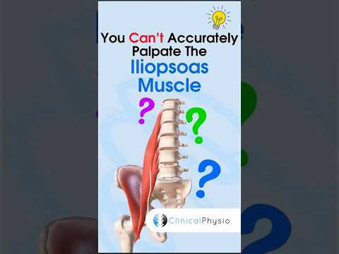 Iliopsoas Muscle #anatomy #physiotherapy #physicaltherapy #iliopsoas #psoas