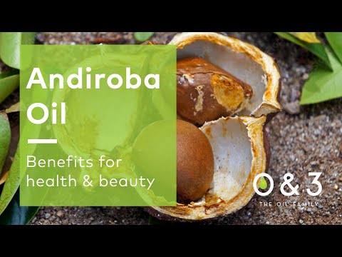 Andiroba Oil - benefits for skin, hair and personal care formulations