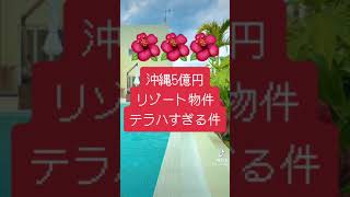 沖縄5億円リゾート物件がテラハすぎる件