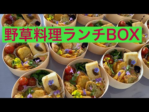 【 シェフ の仕事 】野草料理ランチBOX　シェフとマダムのタッグで＾＾