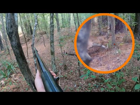 I ROLLED an 8pt at 10 steps!! | Up Close Rack Buck