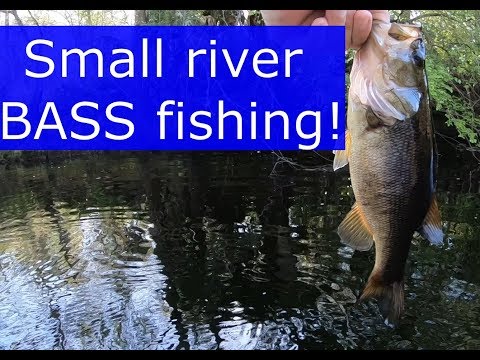 BASS Fishing! Catch n' Cook blackened BASS!!