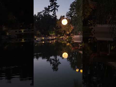 We got to enjoy the Mid Autumn Moon Celebration! #garden #moon #moonfestival #sunset