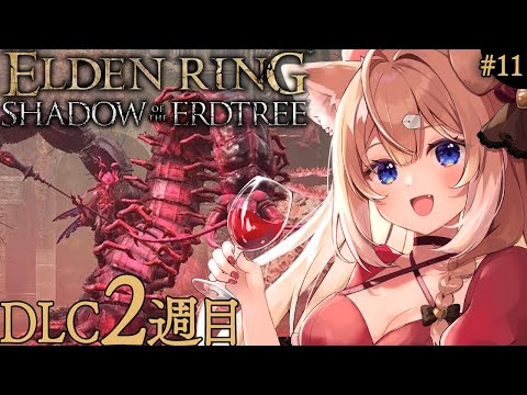 【#ELDENRING┊DLC #11】DLC2週目攻略エルデンリング👑【SHADOW OF THE ERDTREE / 四ノ宮しの/セルフ受肉お絵描きVtuber】