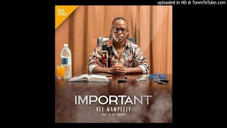 VEE MAMPEEZY - IMPORTANT ( prod by Dr Tawanda)