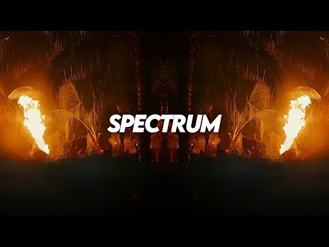 Anthony Keyrouz & Felix Schorn - Spectrum (Say My Name) [Afro House]