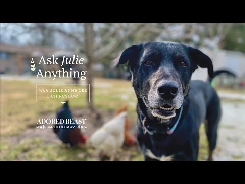 Ask Julie Anything - August Q & A Session 2024