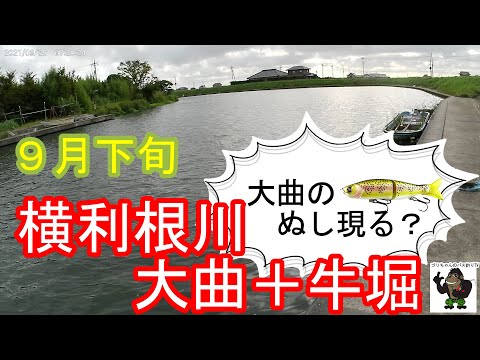 【バス釣り】霞ヶ浦・利根川_横利根川大曲～牛堀_9月下旬_大曲のぬし現る？・・2021年9月26日