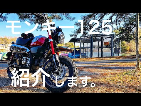 新型モンキ−125を1000km乗った感想！