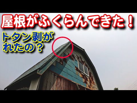 【DIY】物置の屋根がふくらんできた！