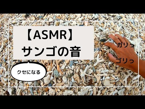 【ASMR】なぜかクセになる！サンゴをかき分ける音【話し声なし】