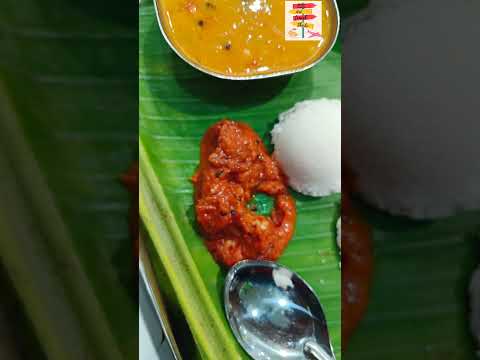 Mini Idli With sambhar,Tomota chutney & coconut chutney 👌👌 #shorts #idli #healthyfood #2024 #food