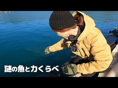 堤防の足元から強烈な引き！謎の魚と力比べする事になった。【ロックフィッシュ】