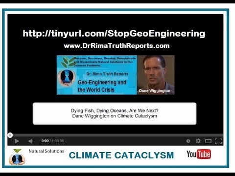 Climate Cataclysm - Fish Dying, Oceans Dying... Are We Next?