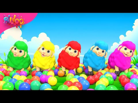 Baa Baa Black Sheep Song | Colorful Sheep | BluLoo Nursery Rhymes & Kids Songs