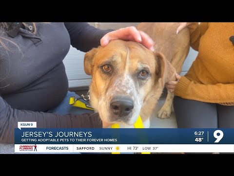 Jersey's Journeys Dec 24th 2024