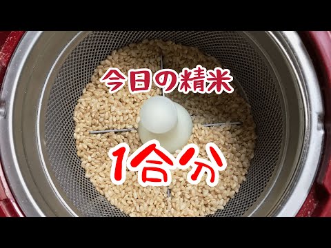 【精米vlog】玄米から白米へ　1合