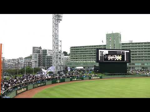 【那覇】千葉ロッテスタメン発表 琉球マリーンズ2024 オリックス セルラースタジアム