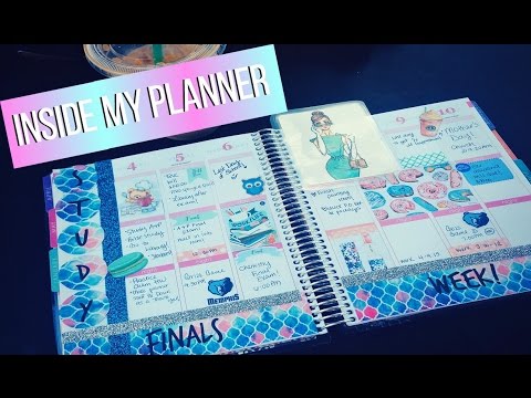 Inside My Planner | Erin Condren