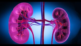 Lupus Nephritis in 2023