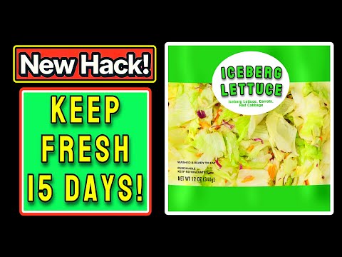 How To Keep Salad Fresh Longer