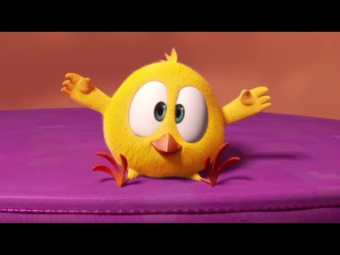 Chicky strikes a pose! | Where's Chicky? | Cartoon Collection in English for Kids | New episodes