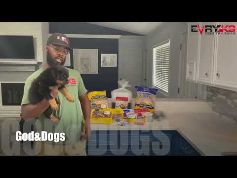 God&Dogs | Ep 1. How I Learned How To Trust God With My Dog Training Business/ My Testimony