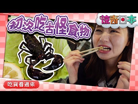 爬虫類カフェでゲテモノ料理を実食！【ビックリ日本】