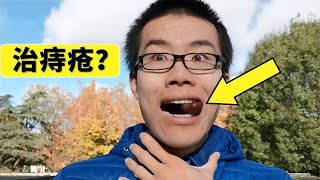 马栗有毒，却有一项神奇的功效？-马栗（欧洲七叶树籽）