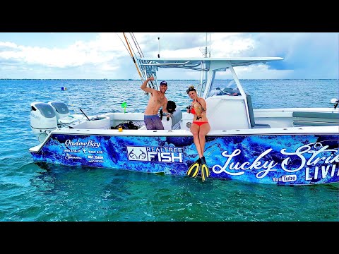 HER FIRST TIME SPEARFISHING | HOG FISH BURRITO | BEST WAY TO COOK ANY FISH MUST TRY!!!!