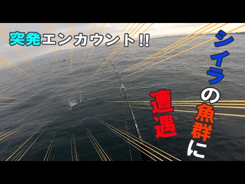 【シイラ】マグロキャスティング船突発イベント発生（早川×相模湾）